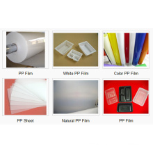 Vacuum and Thermoforming Packing PP Rigid Film with Top Quality